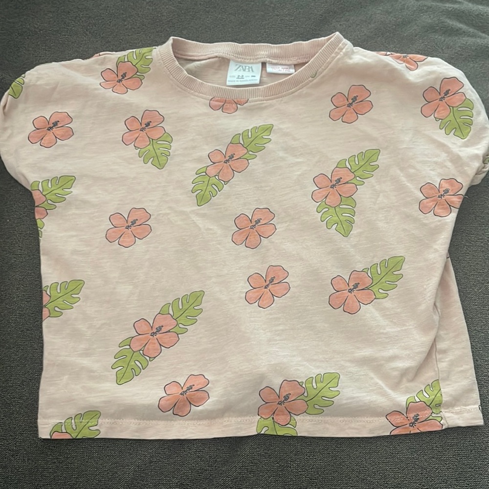 Zara 2-3 shirt toddler